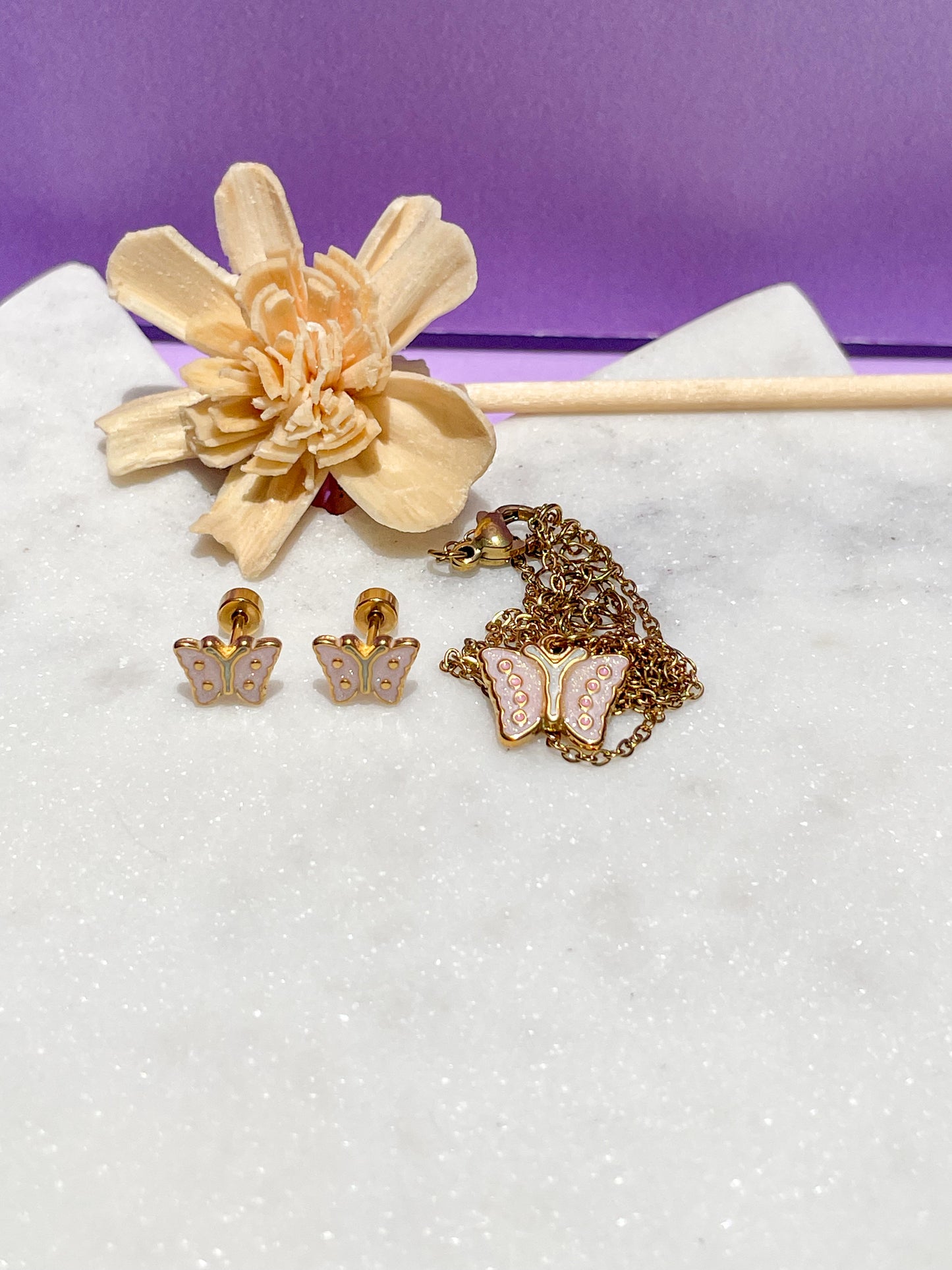 Set de Mariposa con Antenas